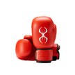 Sting Competition Approved Boxing Gloves 2:0-Red